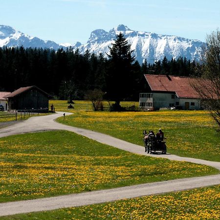 Görisried Haus Allgaeu Ruh 아파트 객실 사진