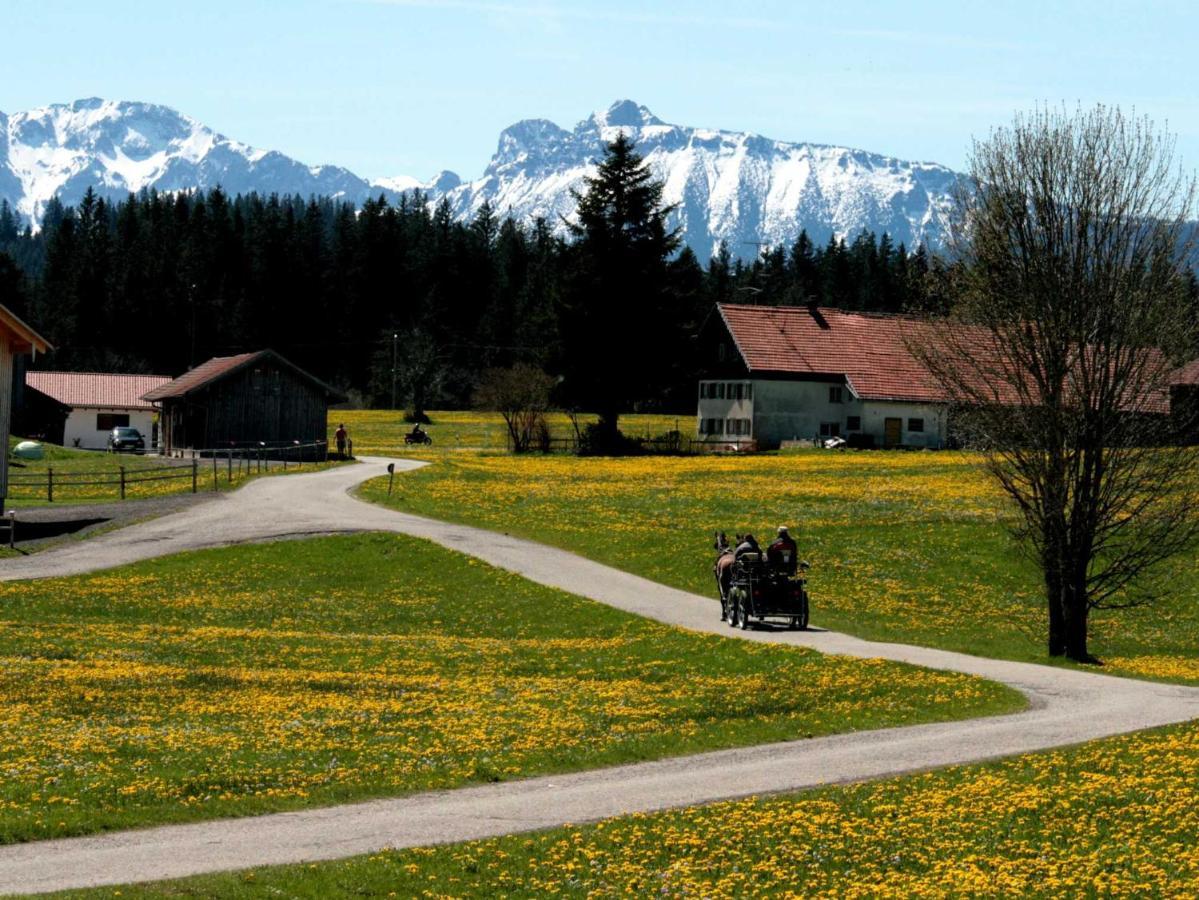 Görisried Haus Allgaeu Ruh 아파트 외부 사진