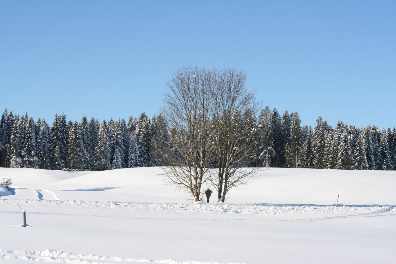 Görisried Haus Allgaeu Ruh 아파트 외부 사진