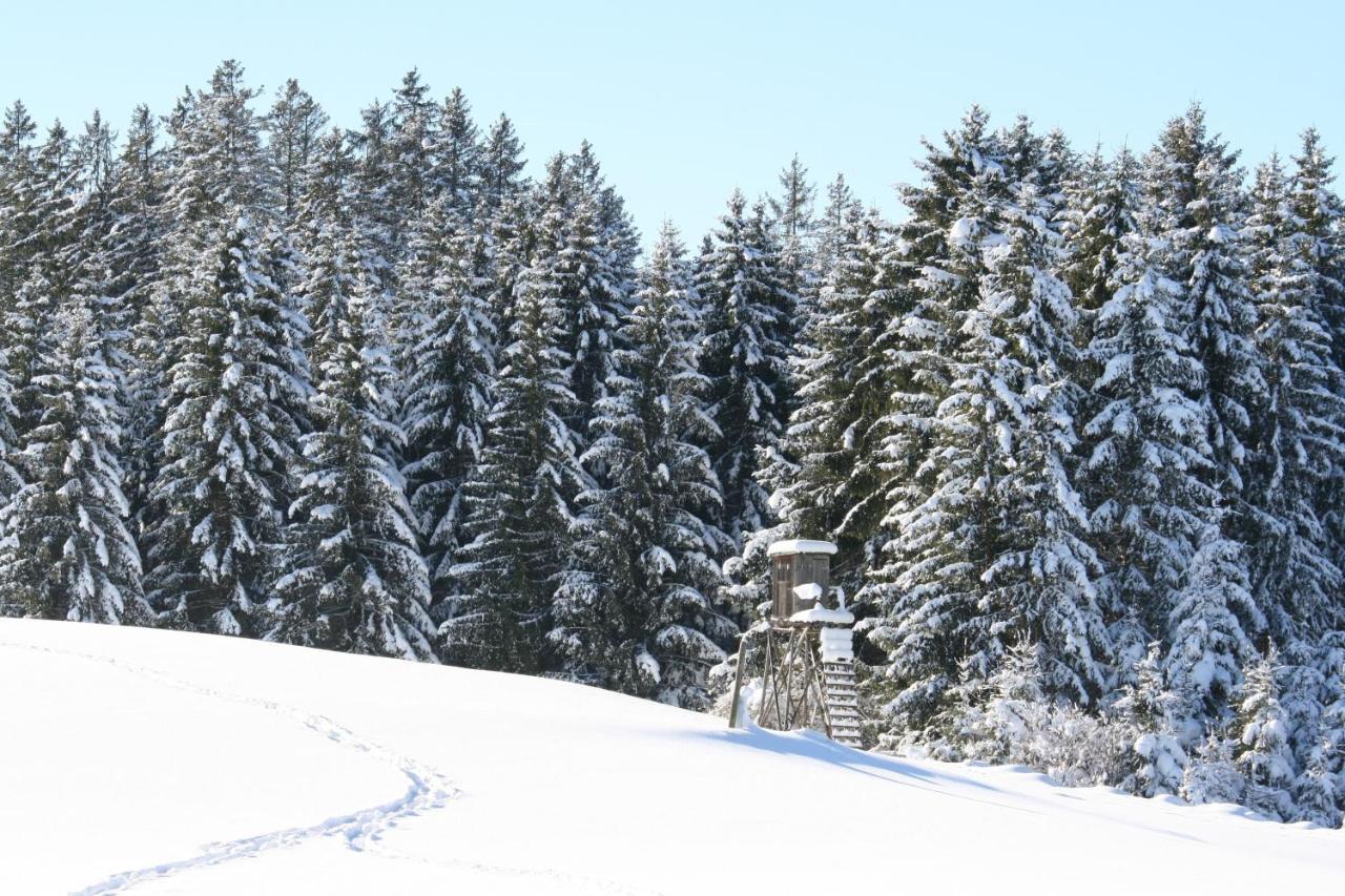 Görisried Haus Allgaeu Ruh 아파트 외부 사진