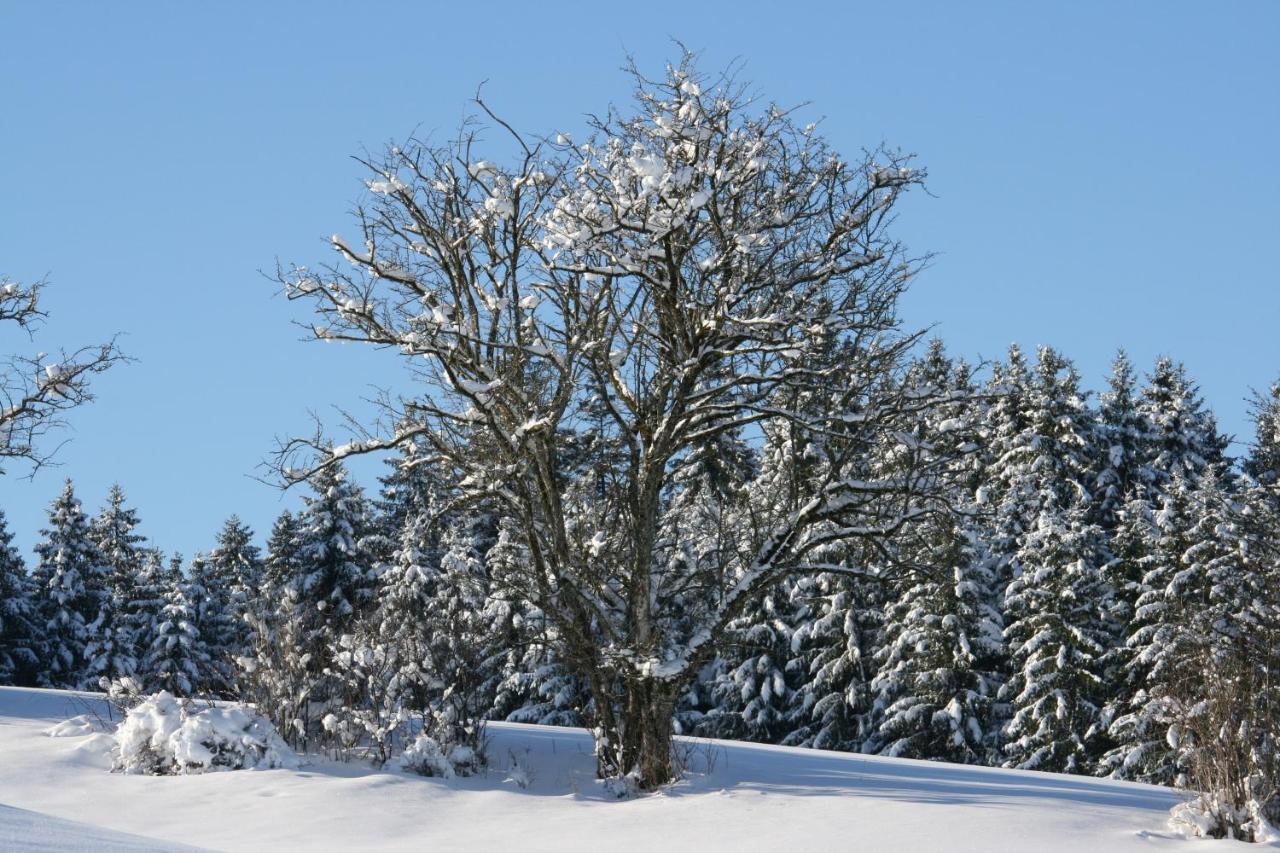 Görisried Haus Allgaeu Ruh 아파트 외부 사진