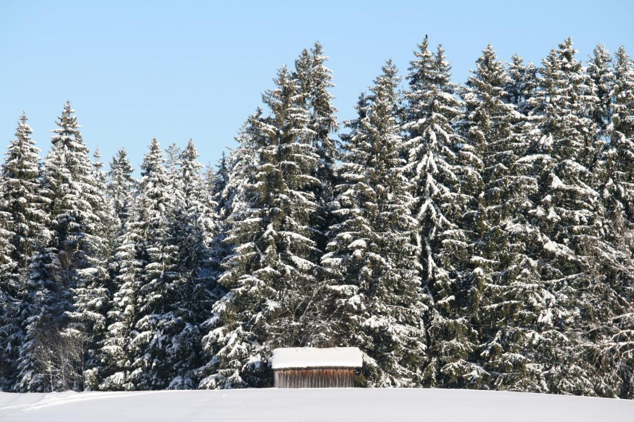 Görisried Haus Allgaeu Ruh 아파트 외부 사진
