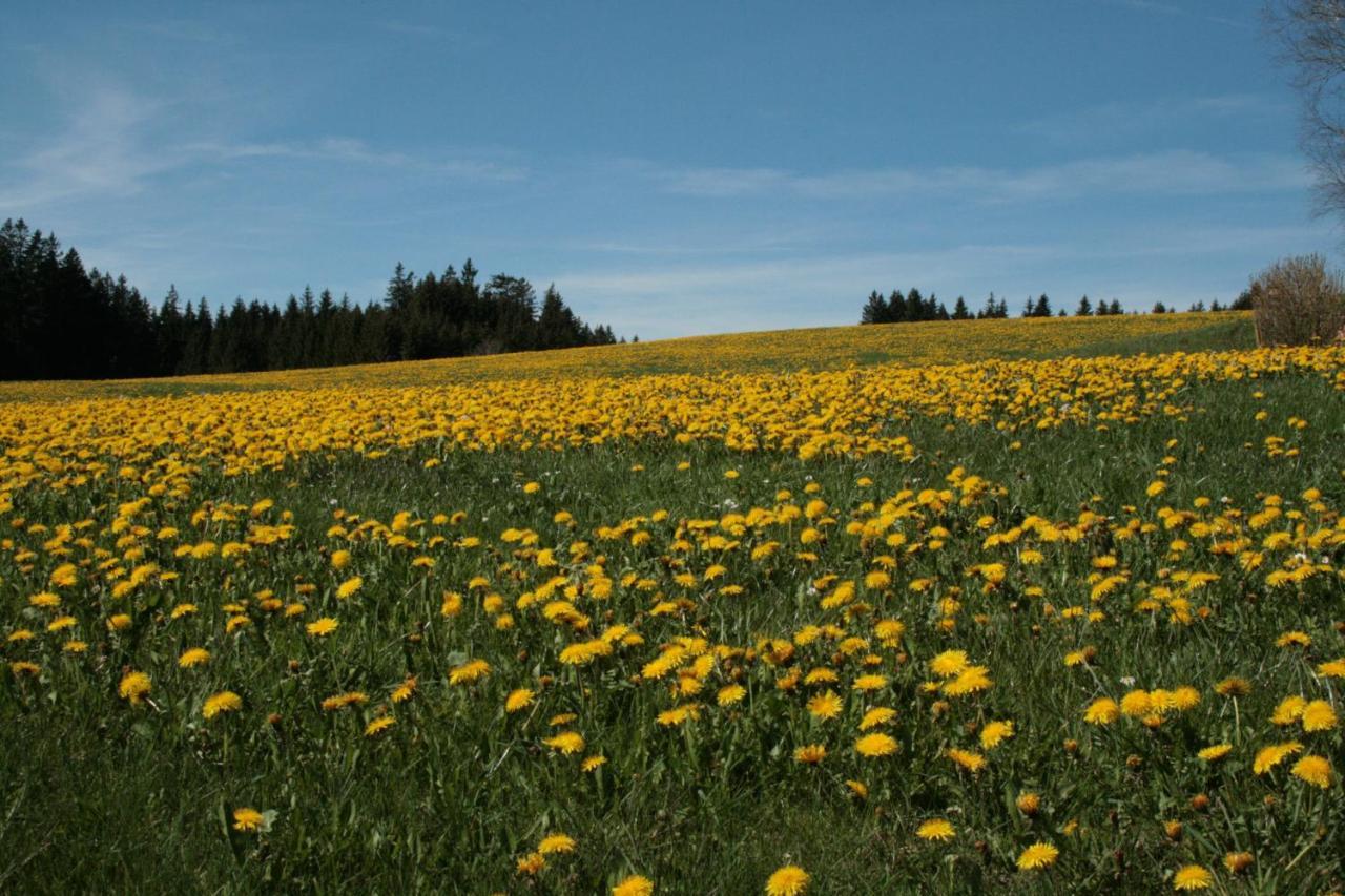 Görisried Haus Allgaeu Ruh 아파트 외부 사진